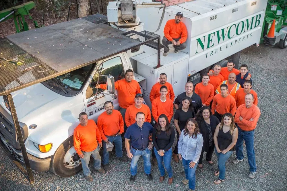 Affordable landscaping services experts serving Placerville, CA - Newcomb Tree Experts