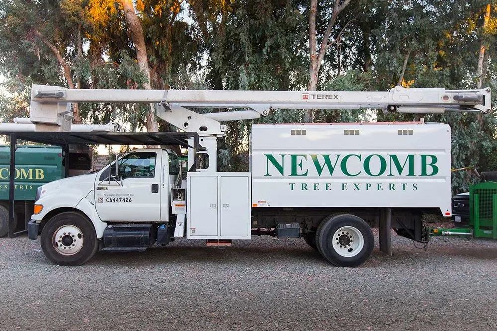 Professional residential landscaping in Placerville, CA by Newcomb Tree Experts