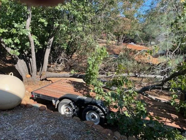 Affordable landscaping services in Placerville, CA by Newcomb Tree Experts