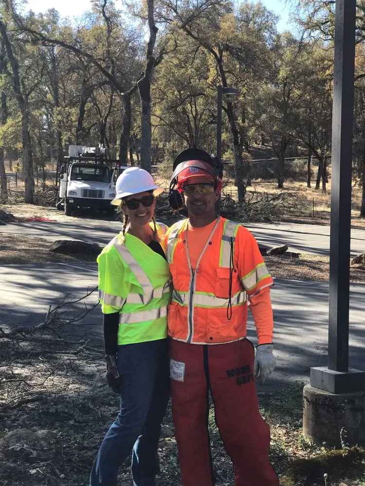 Trusted lawn care service for outdoor upgrades in Placerville, CA by Newcomb Tree Experts