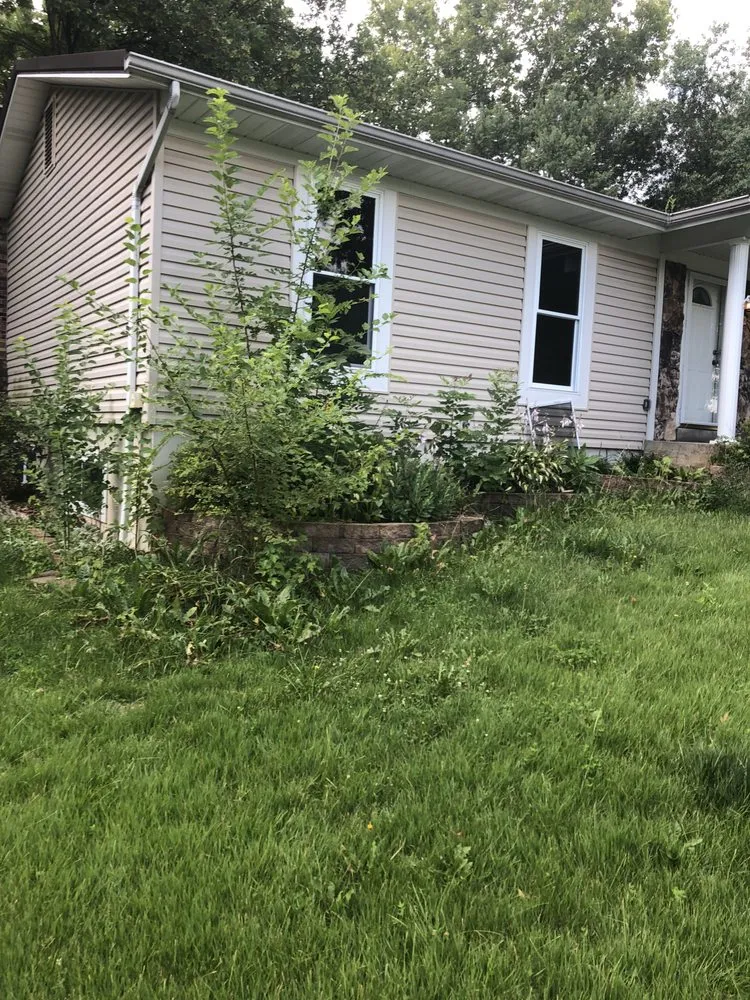 Expert yard maintenance in St. Louis, MO - Newcomer Lawn Care