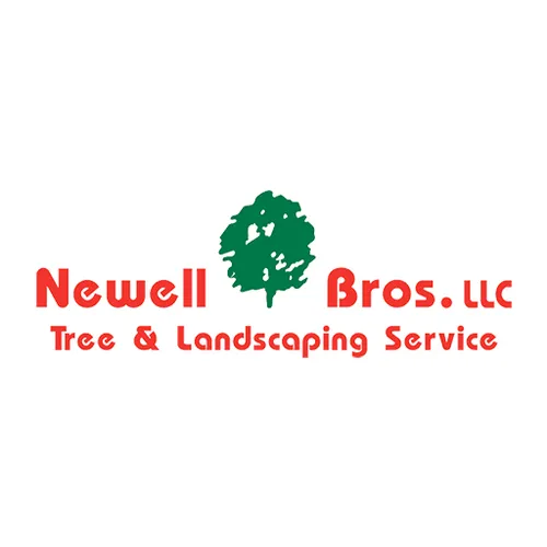Reliable yard maintenance experts serving Evans, CO - Newell Bros Tree & Landscaping Service