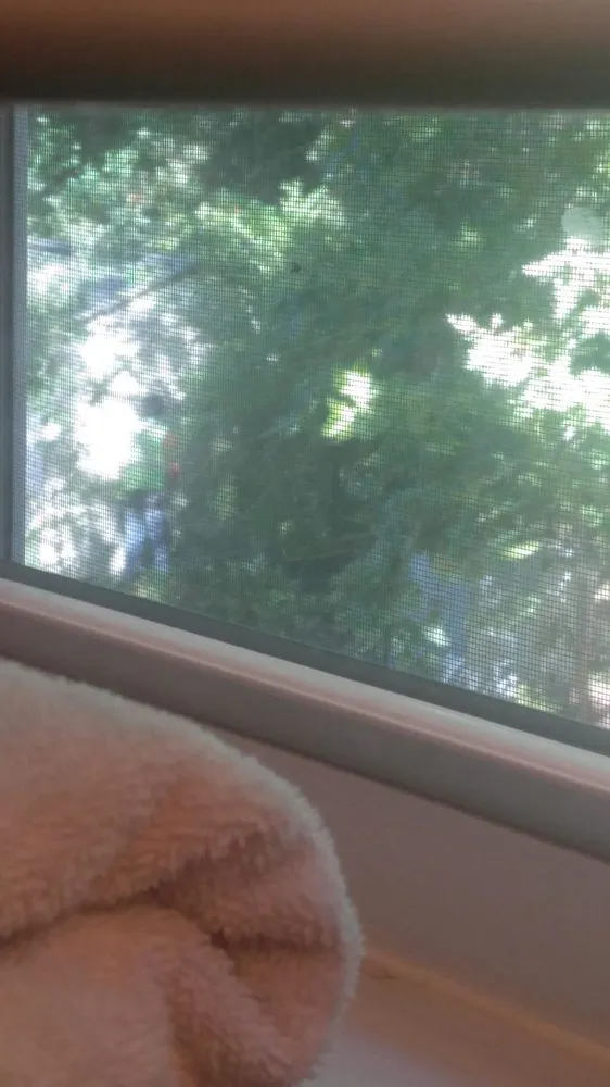 Reliable residential landscaping for beautiful yards across Chesapeake, VA - Newell Lawn and Landscape