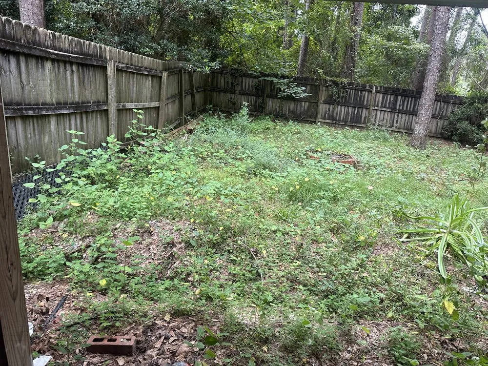 Trusted lawn mowing service experts serving Tallahassee, FL - Newell Lawn Care