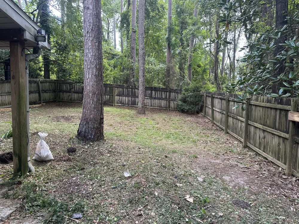 Trusted garden landscaping experts serving Tallahassee, FL - Newell Lawn Care