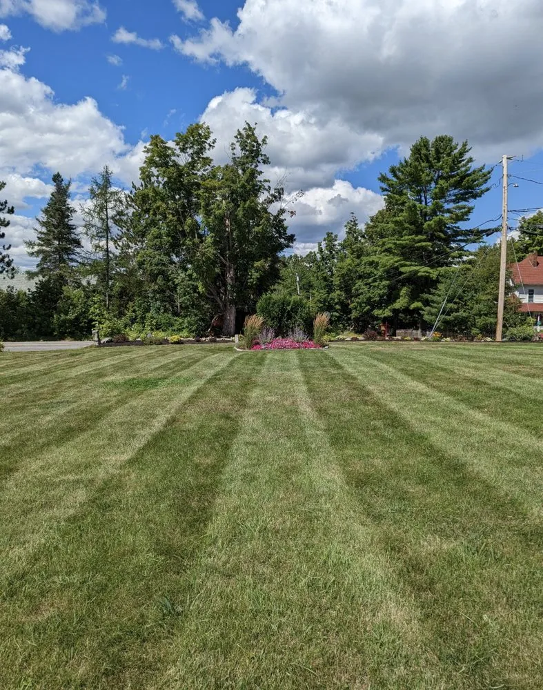 Trusted yard cleanup service in West Newfield, ME - Newfield lawn Maintenance