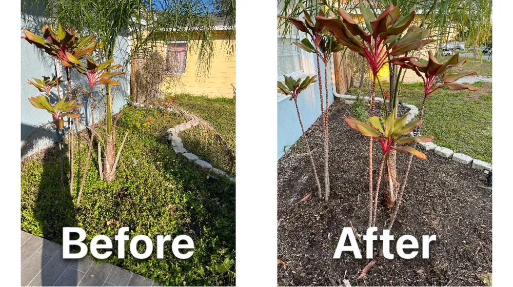 Trusted landscaping services in St. Petersburg, FL - NewGen Lawn Care