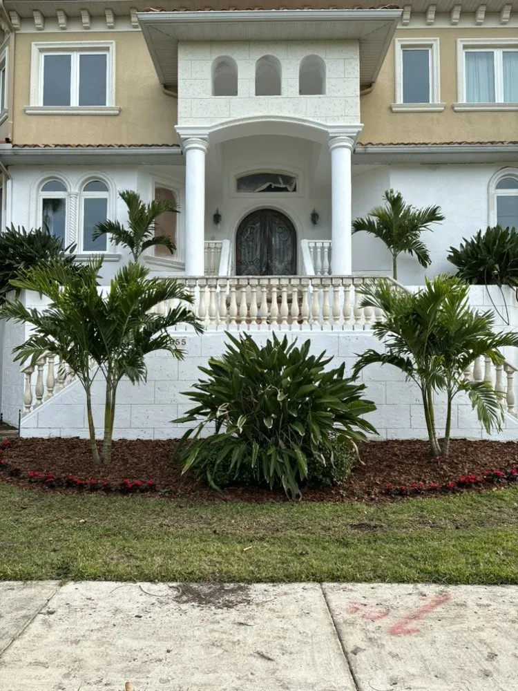 Local yard maintenance experts serving St. Petersburg, FL - NewGen Lawn Care