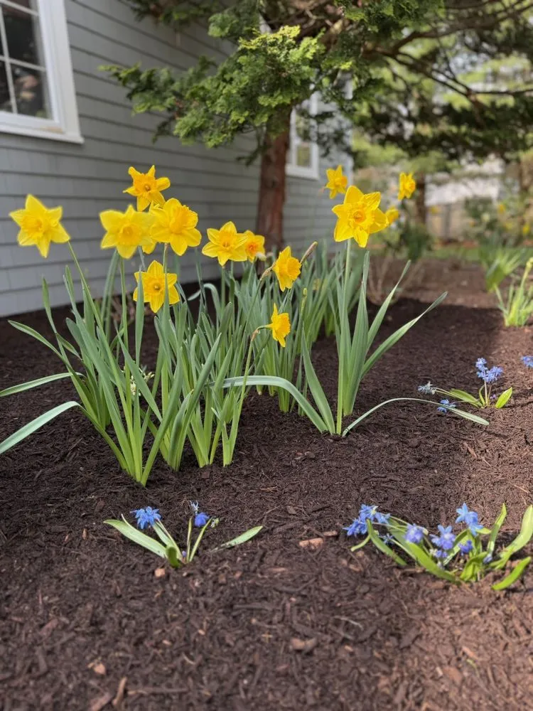 Affordable garden landscaping experts serving Yarmouth, MA - Newgrass Landscaping