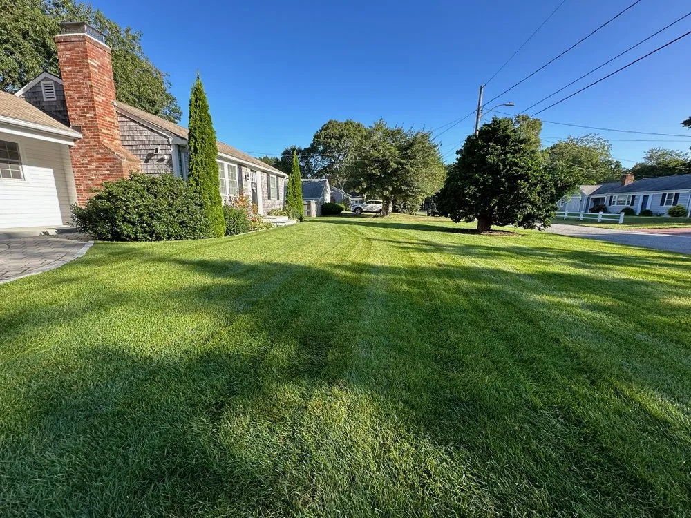 Expert yard maintenance in Yarmouth, MA by Newgrass Landscaping