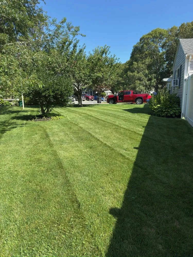 Professional yard cleanup service in Yarmouth, MA by Newgrass Landscaping