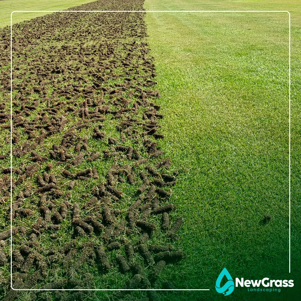 Reliable lawn mowing service with custom design across Yarmouth, MA - Newgrass Landscaping