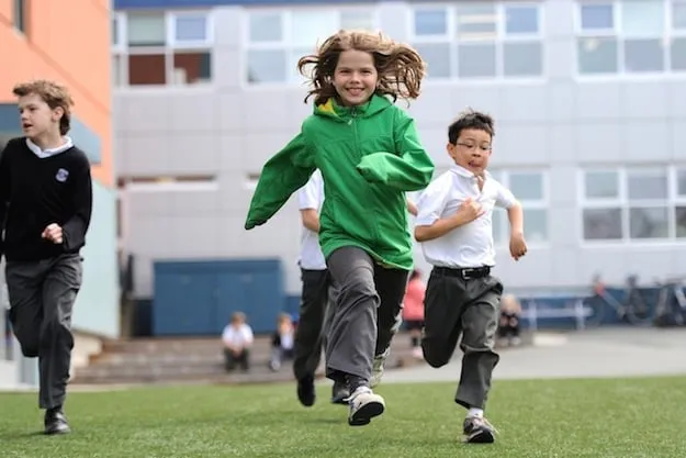 Trusted residential landscaping for outdoor upgrades in New York, NY by NewGrass