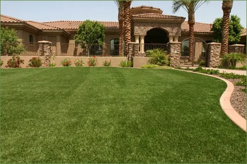 Trusted lawn care service in San Ramon, CA - NewGrass