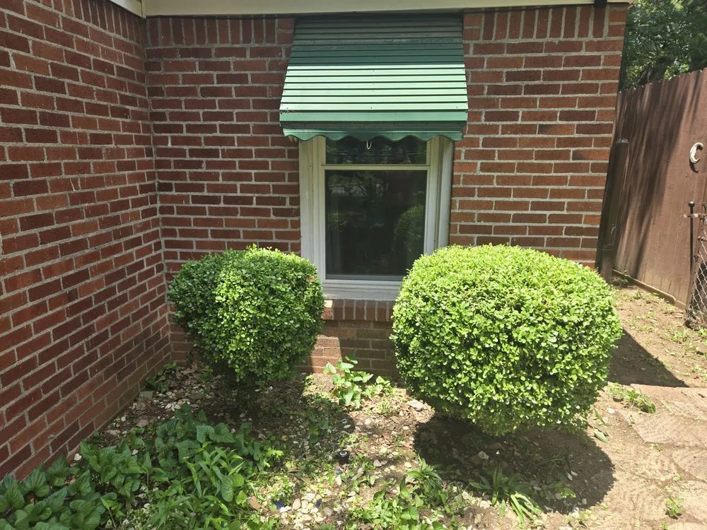 Professional lawn care service for year-round maintenance in Hennepin, OK by Newhope Lawncare & Handyman Services