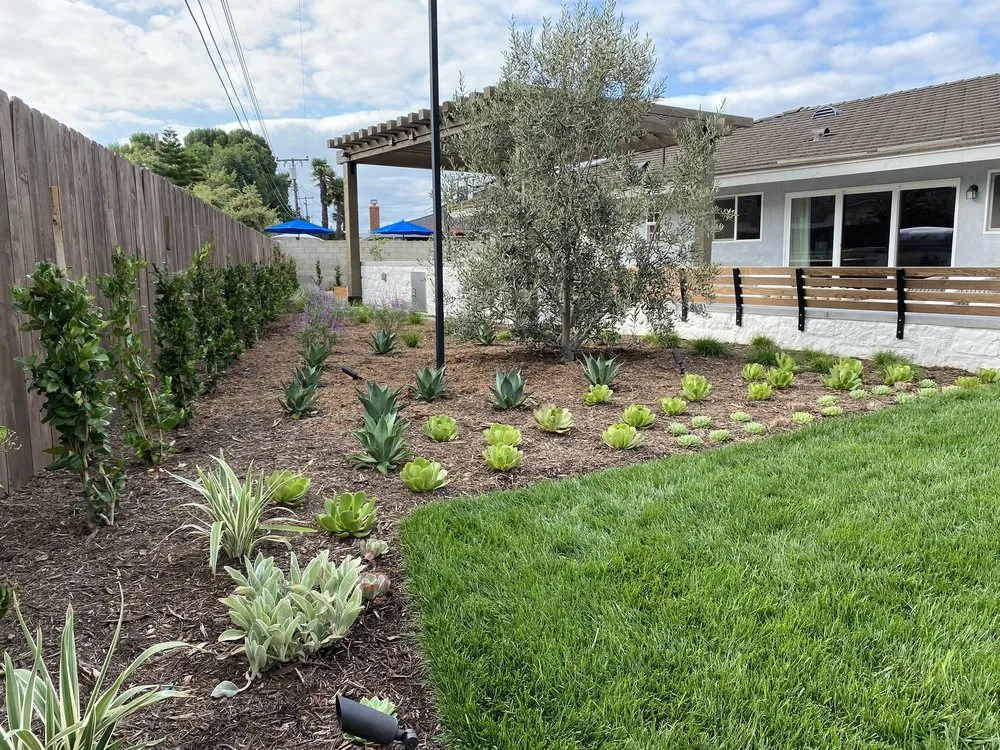 Top-rated lawn care service for year-round maintenance across Laguna Hills, CA - Newland Landscape