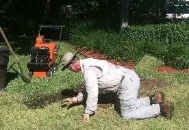 Reliable lawn care service in Gulf Breeze, FL by Newland Lawn Care