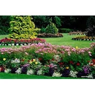 Top-rated yard maintenance experts serving Gulf Breeze, FL - Newland Lawn Care