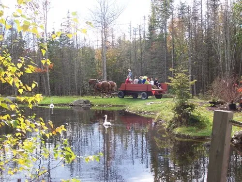 Expert landscape installation in Hancock, ME - NewLand Nursery & Landscaping