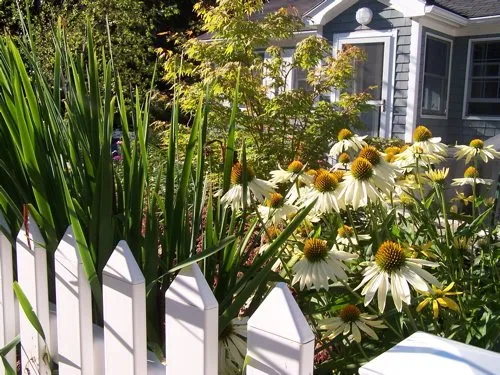 Affordable garden landscaping experts serving Hancock, ME - NewLand Nursery & Landscaping