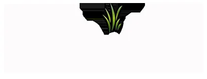 Custom landscape installation for outdoor upgrades across Stockbridge, GA - NewLife Lawn Care Services