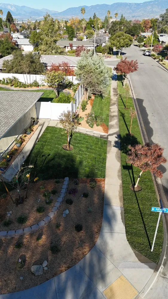 Reliable yard maintenance for beautiful yards across Colton, CA - Newline Concrete & Pavers