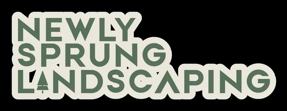 Local yard cleanup service in Trenton, NJ - Newly Sprung Landscaping