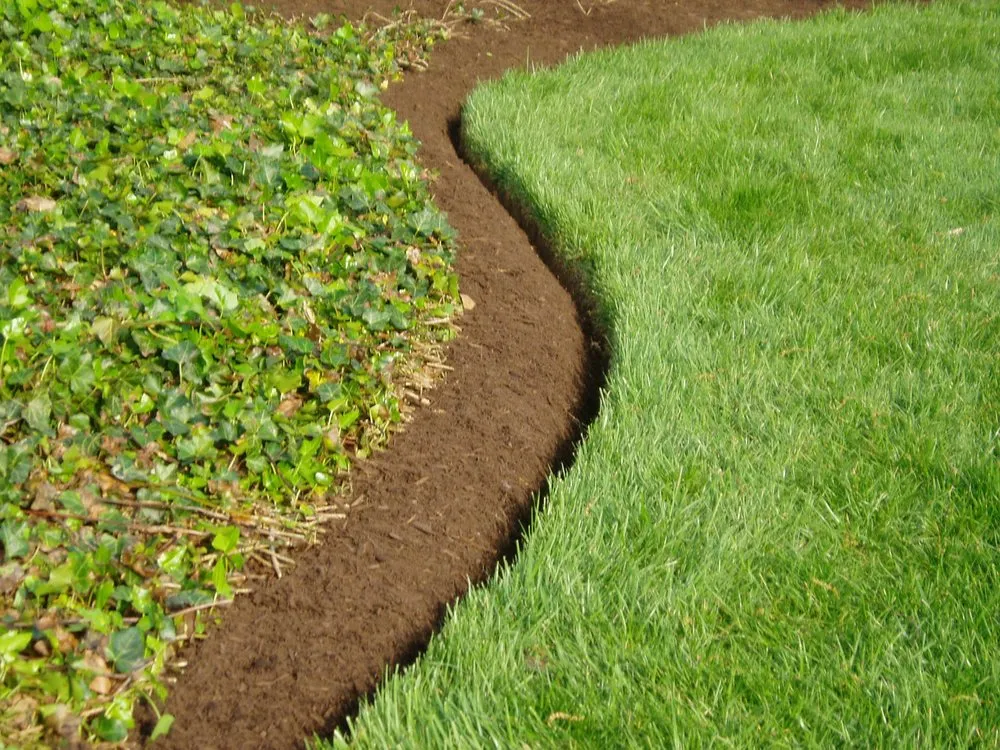 Affordable landscape design in Trenton, NJ - Newly Sprung Landscaping