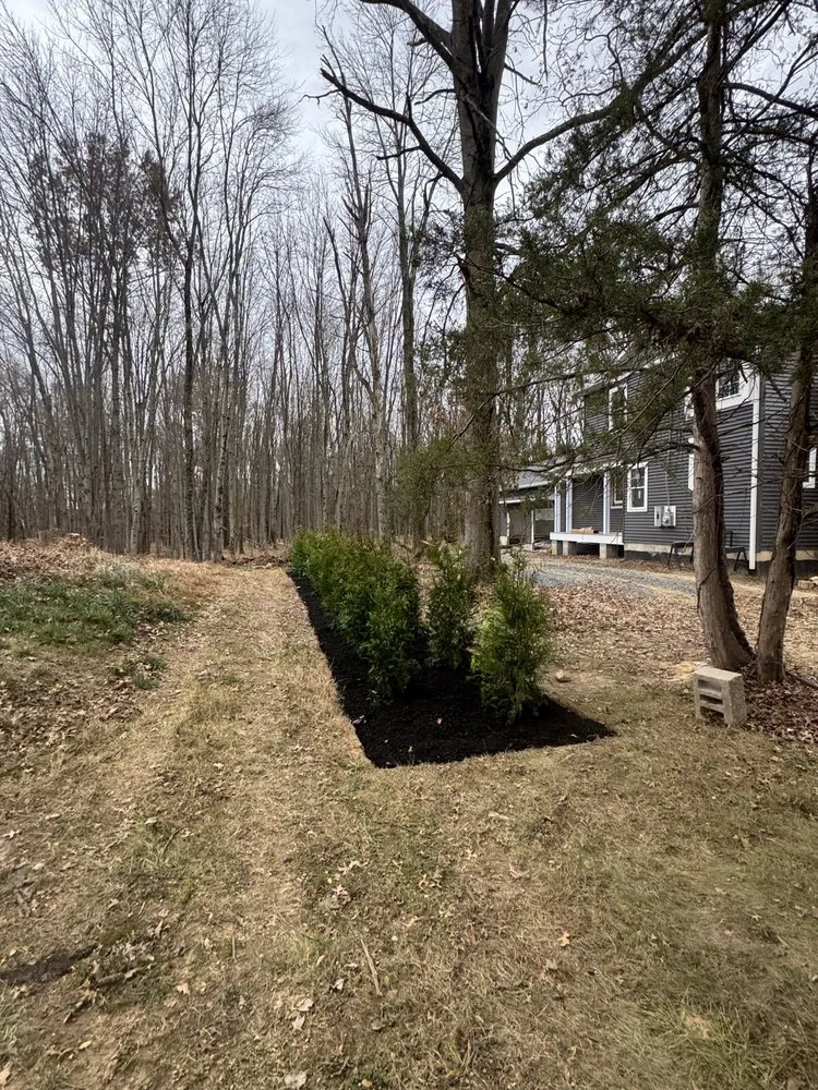 Custom outdoor landscaping in Trenton, NJ by Newly Sprung Landscaping