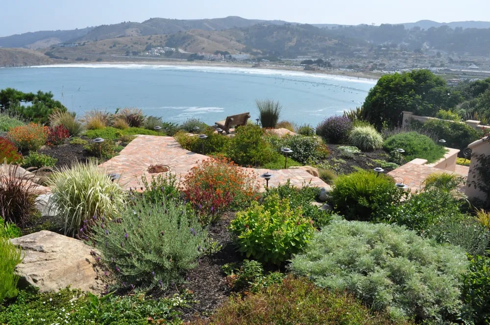 Trusted garden landscaping experts serving Pacifica, CA - Newman Landscapes