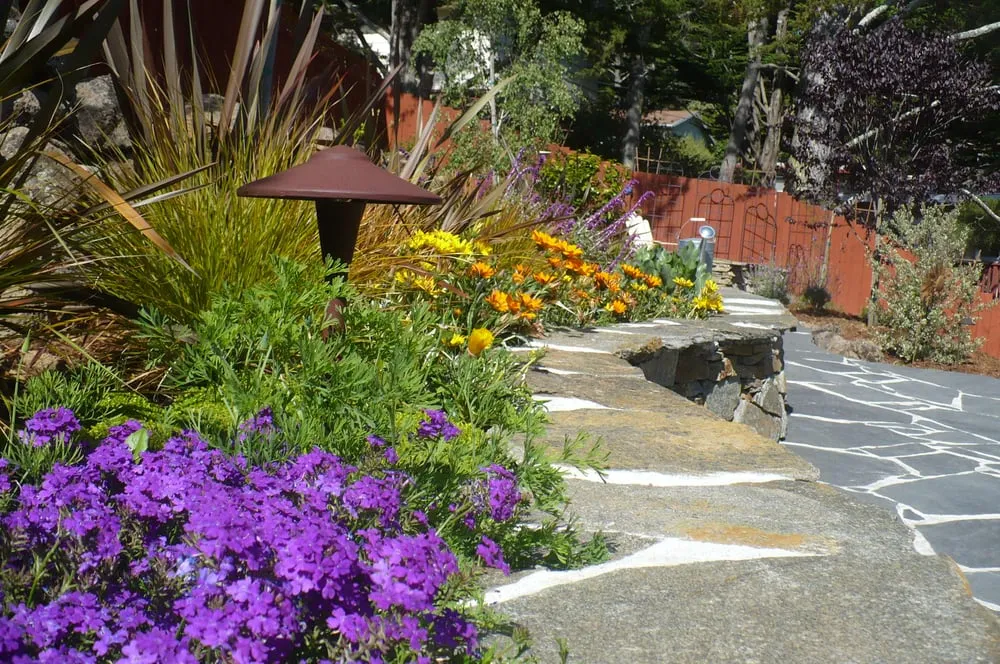 Local landscape installation in Pacifica, CA by Newman Landscapes