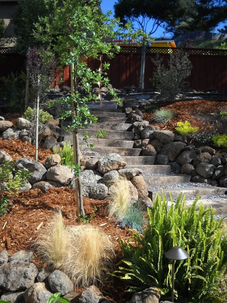 Custom lawn care service experts serving Pacifica, CA - Newman Landscapes