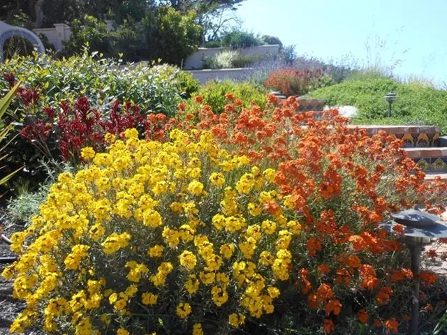 Local garden landscaping with custom design across Pacifica, CA - Newman Landscapes