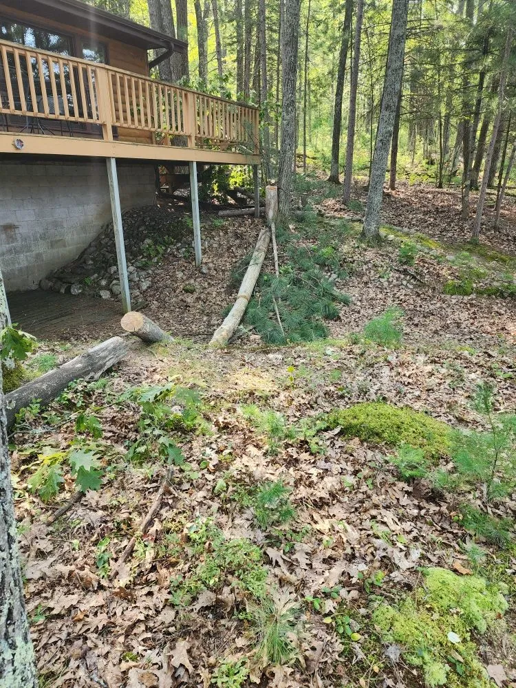Reliable residential landscaping for beautiful yards across Lake Tomahawk, WI - Newman Lawn and Tree Care