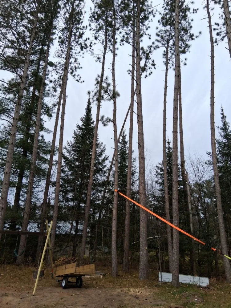 Custom landscape design experts serving Lake Tomahawk, WI - Newman Lawn and Tree Care
