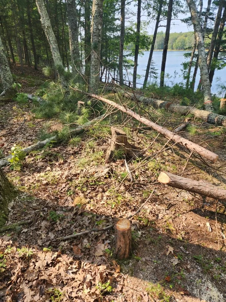 Trusted garden landscaping experts serving Lake Tomahawk, WI - Newman Lawn and Tree Care