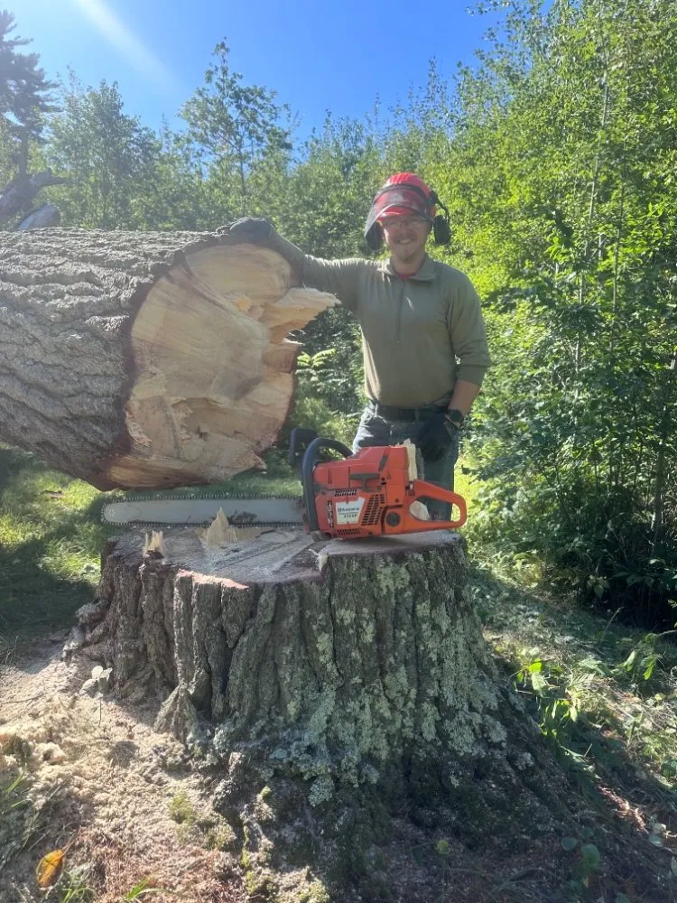 Custom lawn care service experts serving Lake Tomahawk, WI - Newman Lawn and Tree Care