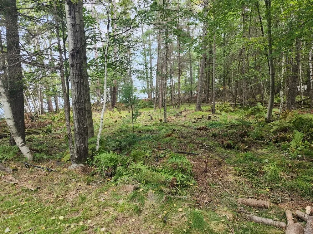 Local garden landscaping in Lake Tomahawk, WI by Newman Lawn and Tree Care