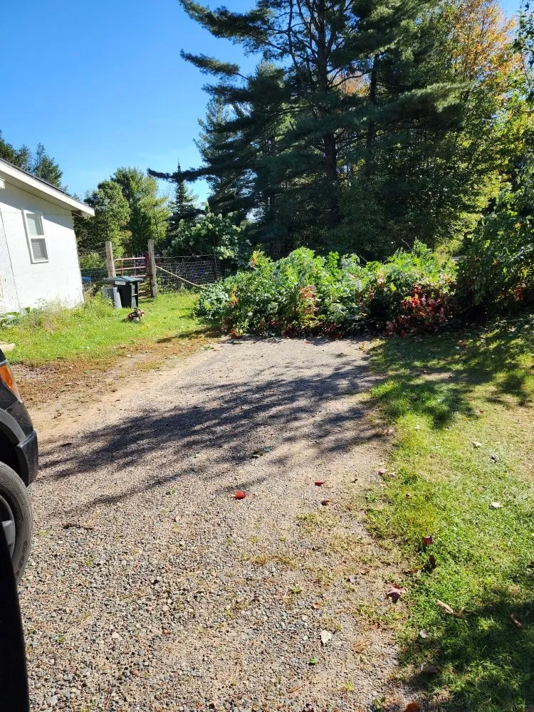 Affordable lawn mowing service experts serving Lake Tomahawk, WI - Newman Lawn and Tree Care