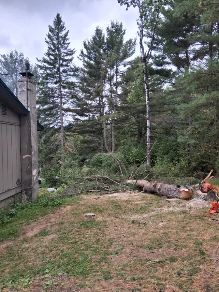Professional garden landscaping for outdoor upgrades across Lake Tomahawk, WI - Newman Lawn and Tree Care