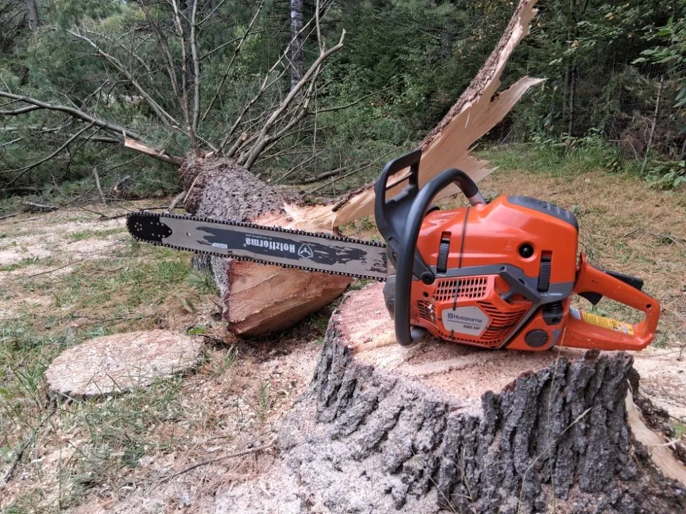 Professional landscape design experts serving Lake Tomahawk, WI - Newman Lawn and Tree Care