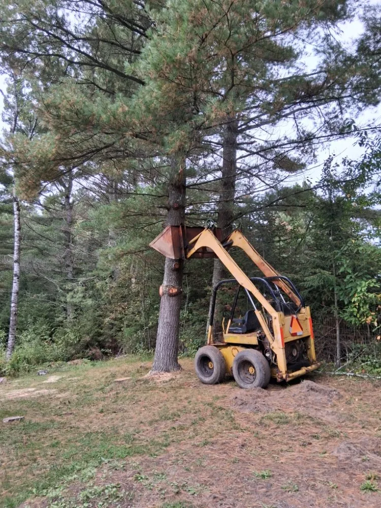 Custom lawn care service near you in Lake Tomahawk, WI by Newman Lawn and Tree Care