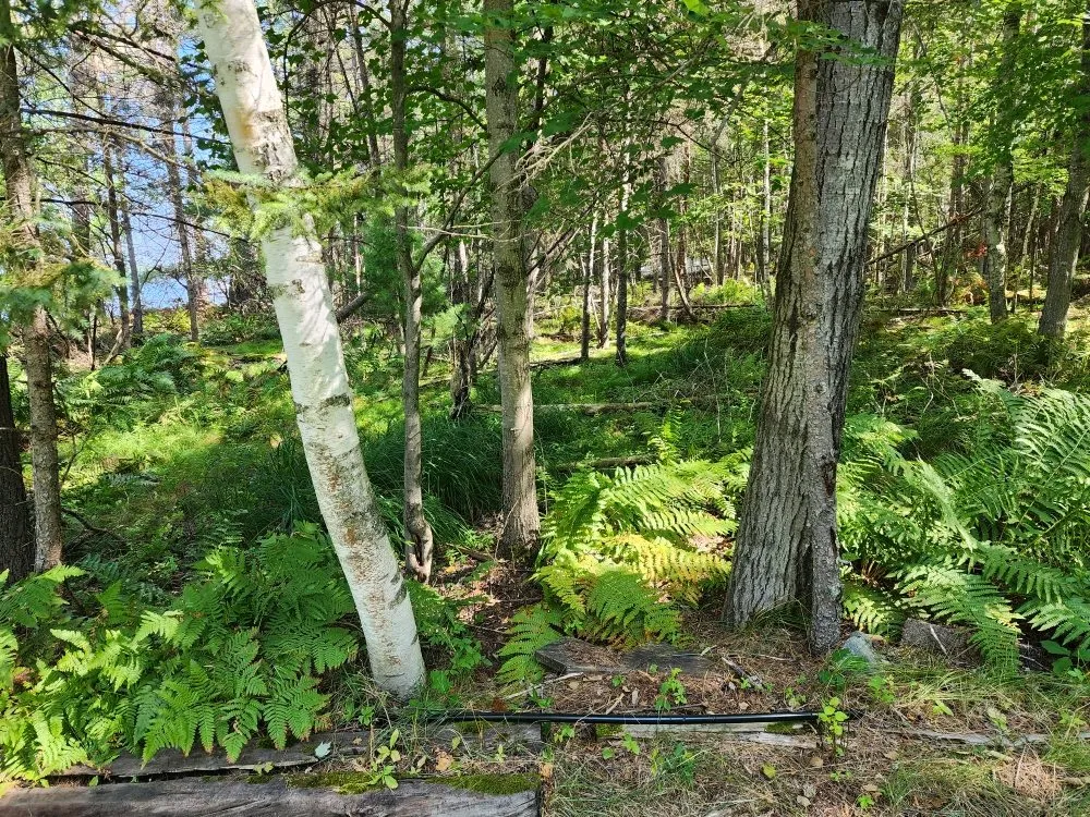 Custom garden landscaping in Lake Tomahawk, WI by Newman Lawn and Tree Care