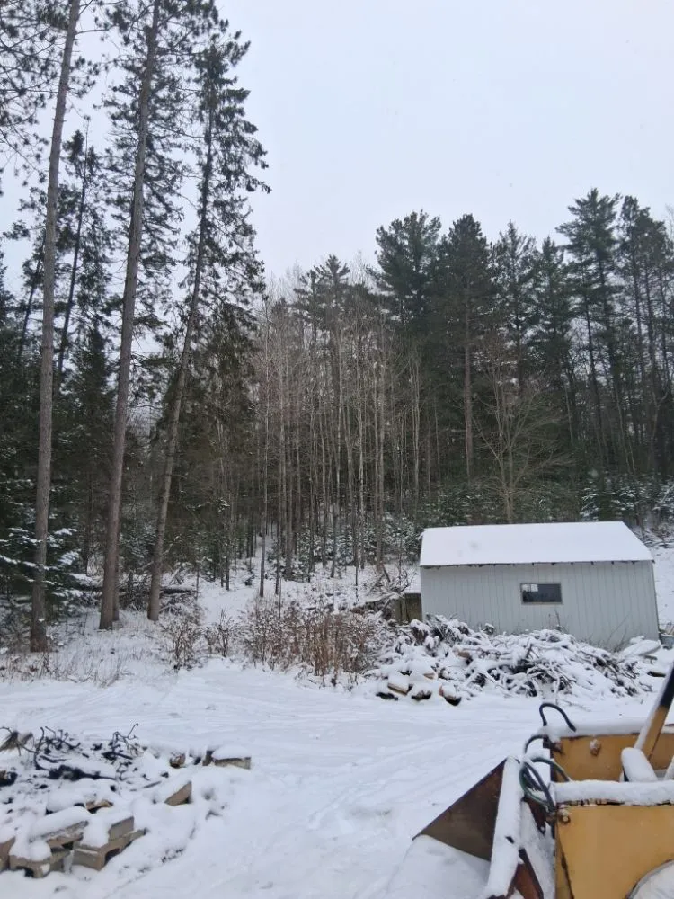 Custom yard maintenance in Lake Tomahawk, WI by Newman Lawn and Tree Care