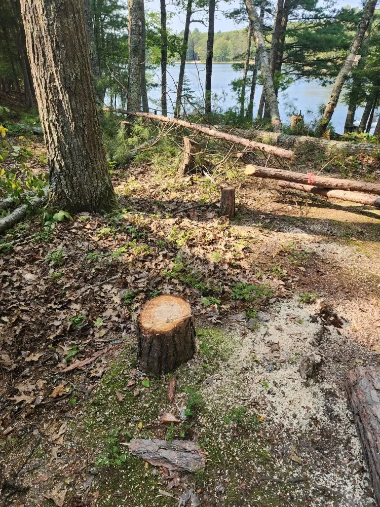 Affordable landscape design in Lake Tomahawk, WI - Newman Lawn and Tree Care