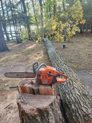Newman Lawn and Tree Care