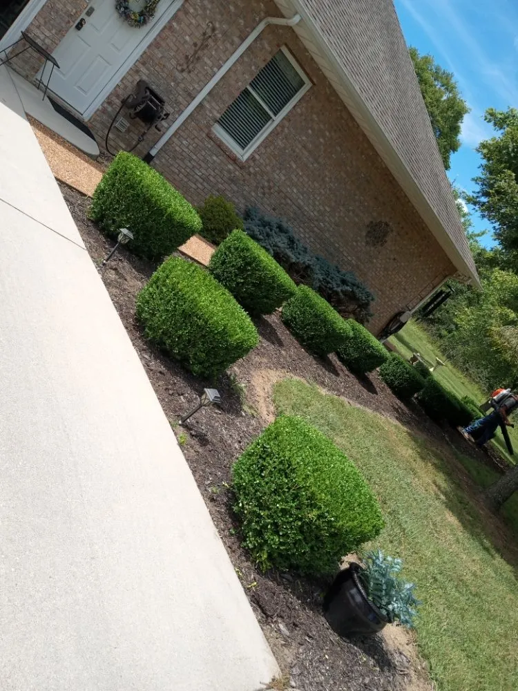 Professional outdoor landscaping near you in Seymour, TN by Newman Pro Cut Lawn & Landscaping