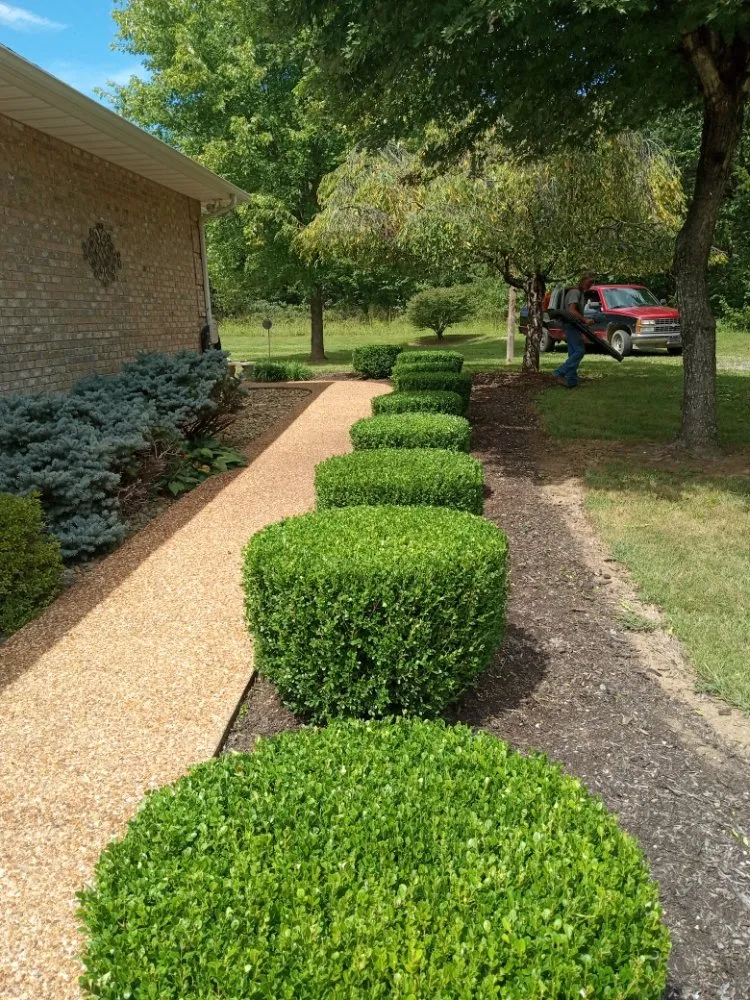 Custom landscape installation in Seymour, TN by Newman Pro Cut Lawn & Landscaping