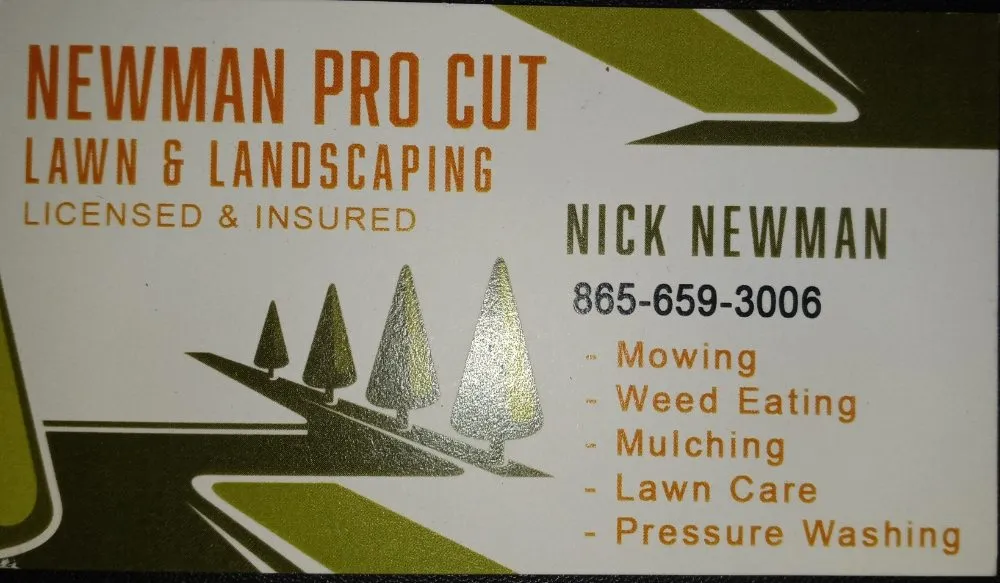 Professional garden landscaping for residential properties in Seymour, TN by Newman Pro Cut Lawn & Landscaping