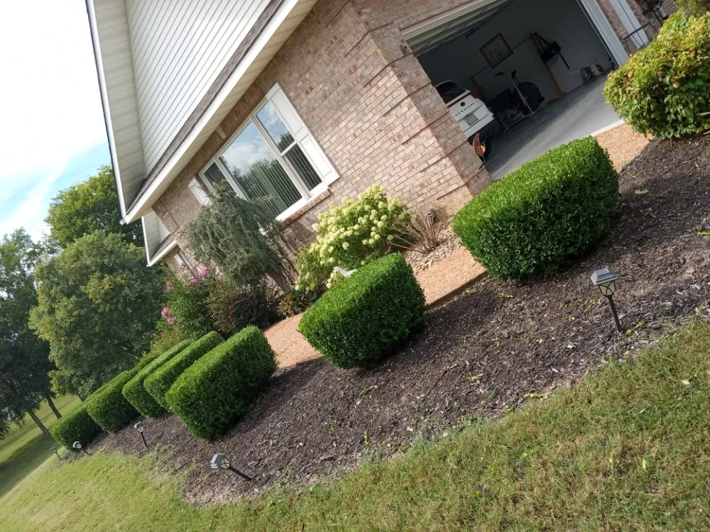 Trusted residential landscaping for year-round maintenance across Seymour, TN - Newman Pro Cut Lawn & Landscaping